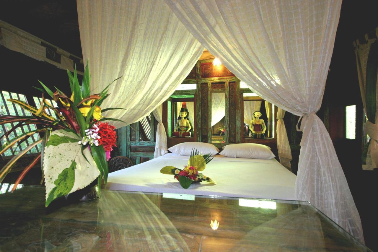 Sari & Pemuteran (Bali)